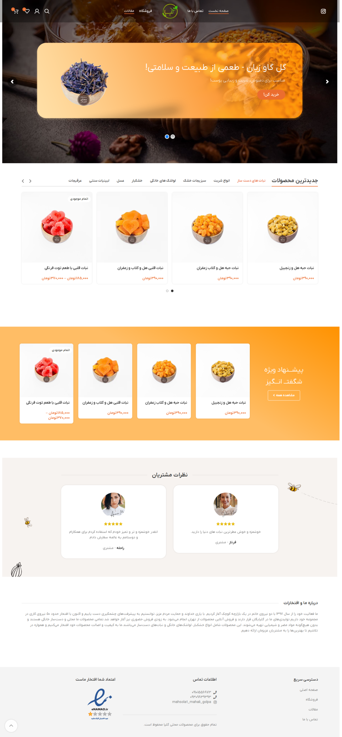 Corporate website design project (mahsolatmahaligolpa)